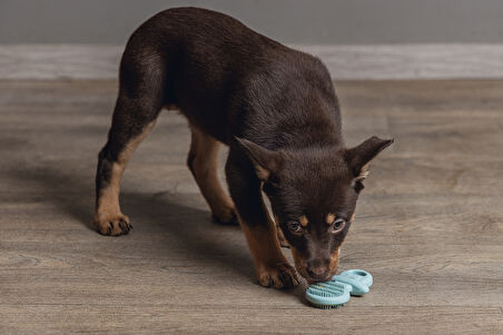 Beeztees Yavru Köpek Oyuncağı, Diş Kaşıma, Kauçuk, Yeşil, 9,5x5,5x2cm