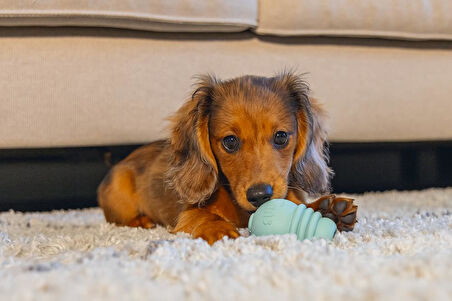 Beeztees  Yavru Köpek Sumo Mını Dental Oyuncak Xs