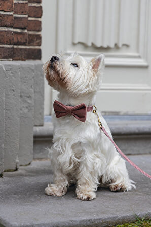 Beeztees DBL Köpek Papyonu, Kadife, Pembe, 9cm