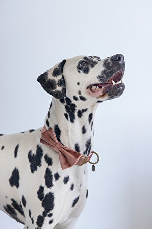 Beeztees DBL Köpek Papyonu, Kadife, Pembe, 12cm