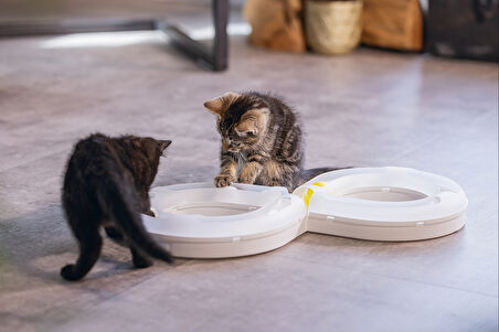 Beeztees Yavru Kedi Oyuncağı, 50x24x5,5cm