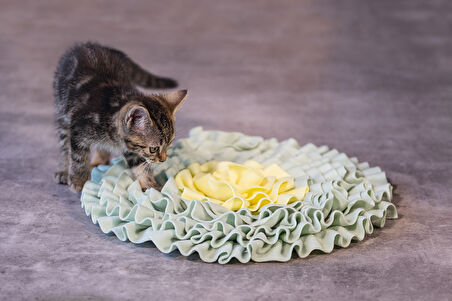 Beeztees Yavru Kedi Oyuncağı, Ödül Saklama, 38x38x3cm