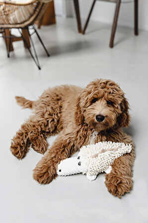 Beeztees Köpek Oyuncağı, Timsah, Peluş, Beyaz, 36x16x10cm