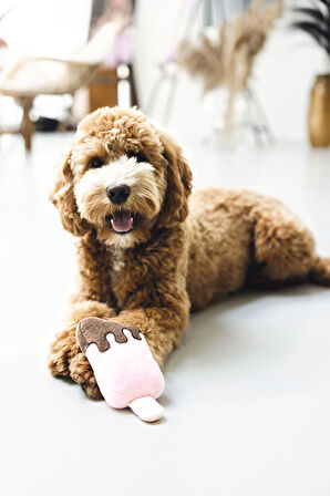 Beeztees Köpek Oyuncağı, Dondurma, Peluş, Pembe, 19x8x5cm