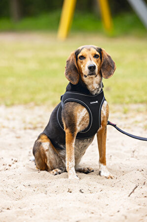 Beeztees Köpek Göğüs Tasması, Neopren, Siyah, M, 41-46cm