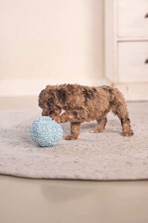Beeztees Yavru Köpek Oyuncağı, Top, Peluş, Mavi, 10cm