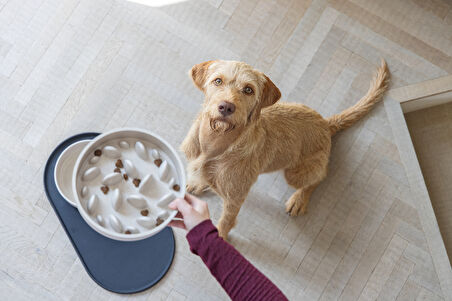 Beeztees DBL Köpek Yavaş Besleme Mama Kabı, Bambu, Bej, 21cm, 1430ml