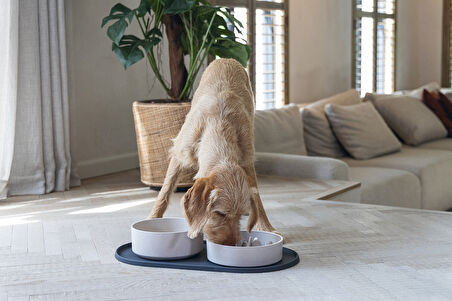 Beeztees DBL Köpek Mama Su Kabı, Bambu, Bej, 21cm, 1430ml