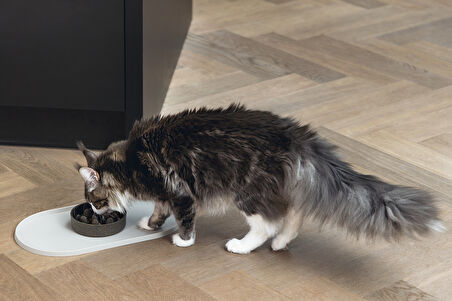 Beeztees DBL Mama Su Kabı Servisi, Silikon, Kaymaz, Bej, 45x25x1,5cm