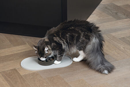 Beeztees DBL Mama Su Kabı Servisi, Silikon, Kaymaz, Bej, 45x25x1,5cm