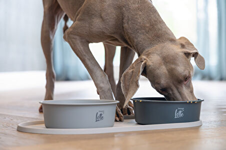 Beeztees DBL Mama Su Kabı Servisi, Silikon, Kaymaz, Bej, 55x30x1,7cm