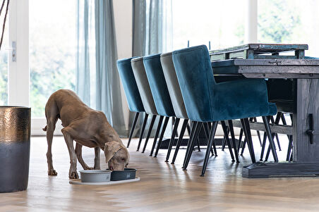 Beeztees DBL Mama Su Kabı Servisi, Silikon, Kaymaz, Bej, 55x30x1,7cm