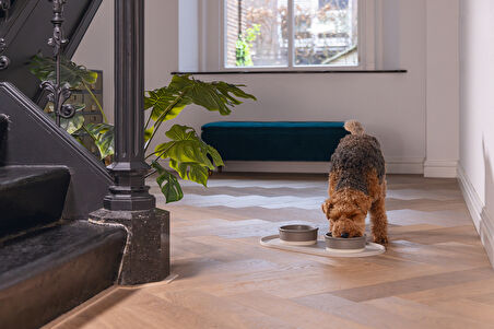 Beeztees DBL Mama Su Kabı Servisi, Silikon, Kaymaz, Bej, 55x30x1,7cm