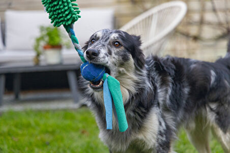 Beeztees Köpek Oyuncağı, Tut Getir Tenis Toplu, Peluş, Mavi-Yeşil, 90x10x6cm