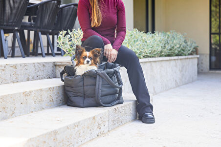 Beeztees DBL Köpek Taşıma Çantası, Yıkanabilir, 6,5Kg'ye kadar, Antrasit, 42x20x35cm