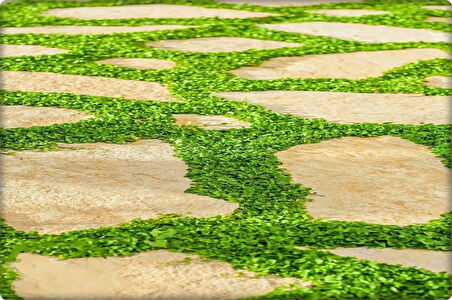 Fare Kulağı - Dichondra Repens(1 kg) orijinal kutu