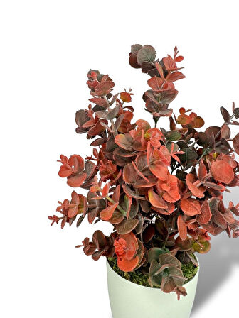 Yapay Çiçek Beyaz Saksıda Okaliptus Şimşir Demeti Pudralı Pastel Bordo Dekoratif Yapay Bitki