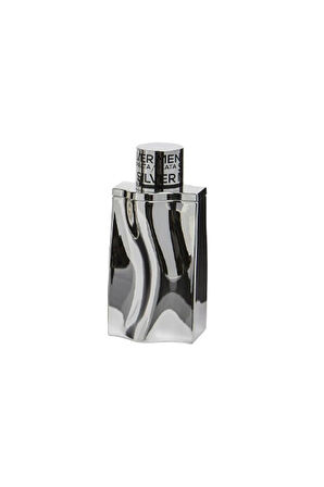 Silver Men Georges Mezotti EDT 100 Ml Erkek Parfüm