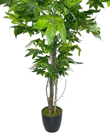 Yapay Ağaç Yeşil Çınar Ağacı100x70cm Siyah Plastik Saksılı