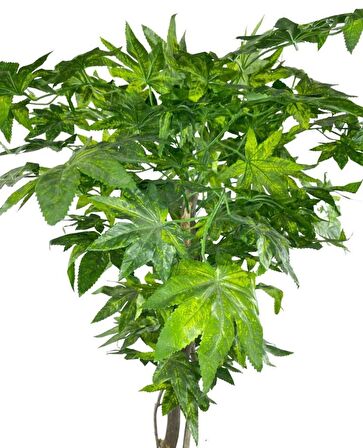 Yapay Ağaç Yeşil Çınar Ağacı100x70cm Siyah Plastik Saksılı