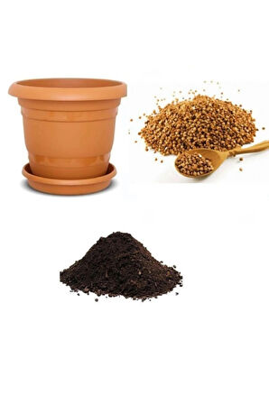 Kara Buğday Tohumu Ekim Seti