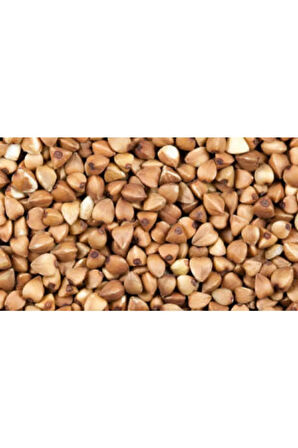 Kara Buğday Tohumu Ekim Seti