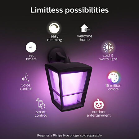 Philips Hue Econic Bahçe Duvar Lambası - 915005732301