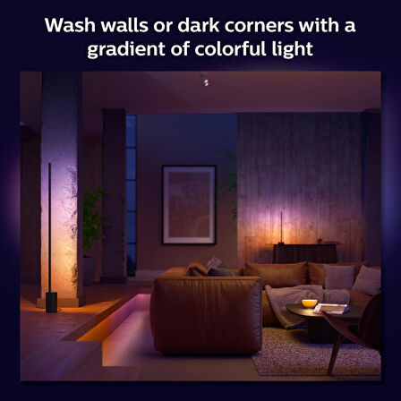 Philips Hue Gradient Signe Zemin Işığı - Siyah - 915005987201