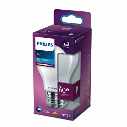 PHILIPS FILAMENT 60W BUZLU AMPUL BEYAZ IŞIK 6500K