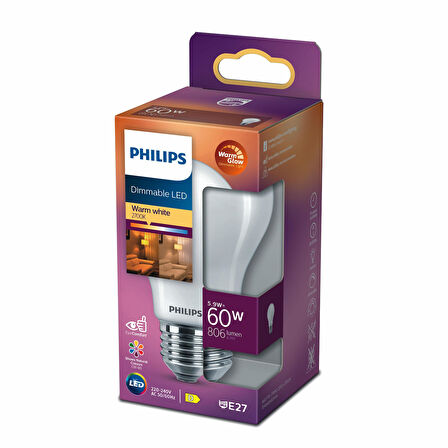 PHILIPS FILAMENT 60W BUZLU DİMLENEBİLİR AMPUL SARI IŞIK 2700K