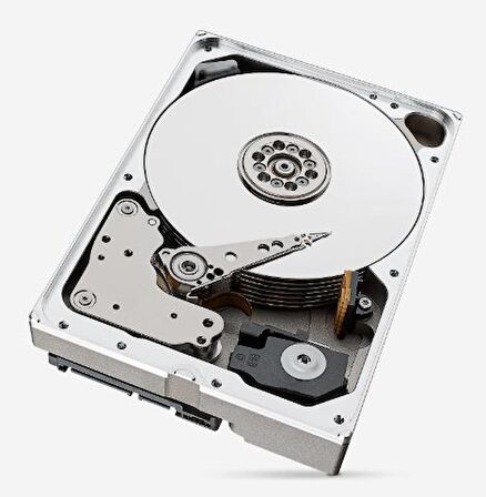 Seagate Sata 3.0 7200 RPM 3.5 inç 10 TB Nas Harddisk