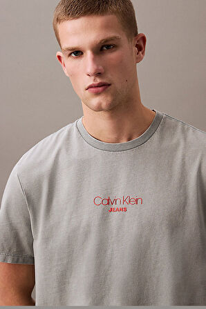 Calvin Klein Erkek Tişört-LV04RB824G