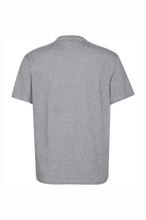 Erkek Logolu Basic Bisiklet Yaka T-Shirt - Gri  | XL
