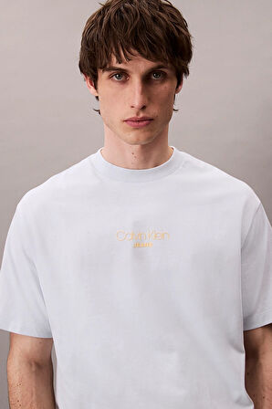 Calvin Klein Erkek Tişört-LV04RC851G