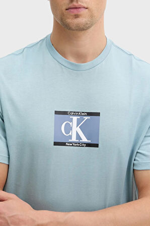 Calvin Klein Erkek T Shirt LV04RC854G CJ4