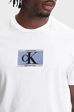 Calvin Klein Erkek T Shirt LV04RC854G YAF