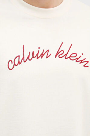 Calvin Klein Erkek T Shirt LV04RC225G YAS