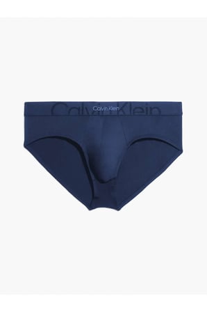 HIP BRIEF