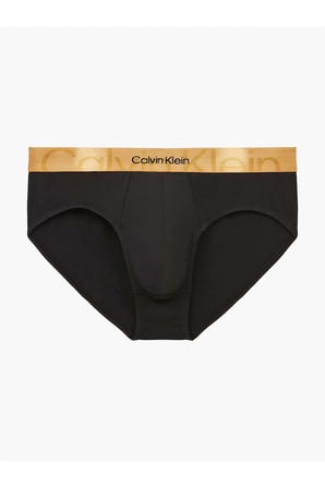 HIP BRIEF