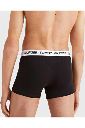 Erkek Tommy Hilfiger Underwear Bottoms Erkek Boxer UM0UM01810