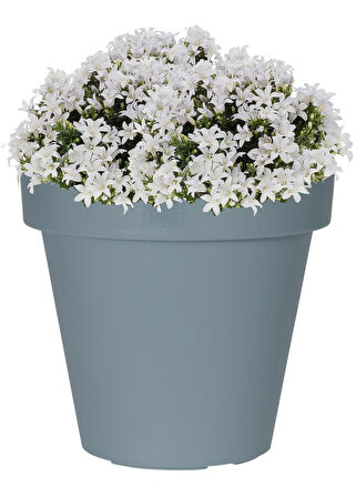 Gri Plastik Yuvarlak Saksı Çap 40 cm Yükseklik 35 cm