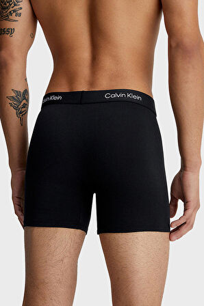Calvin Klein Erkek Boxer 000NB3529A UB1