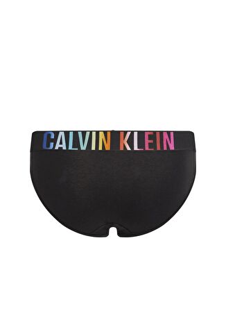 Calvin Klein Siyah - Çok Renkli Kadın Bikini Külot 000QF7835E