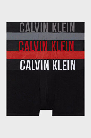 Calvin Klein Erkek Boxer 000NB3608A LXO