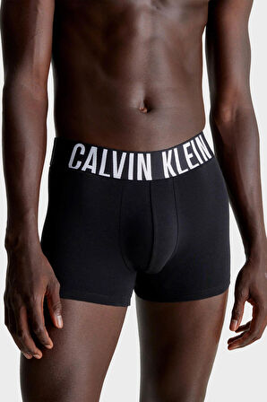 Calvin Klein Erkek Boxer 000NB3608A UB1