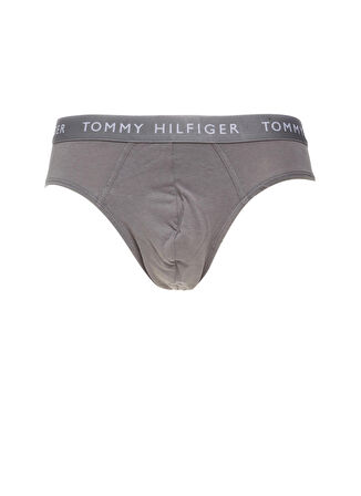 Tommy Hilfiger Altın Erkek Slip UM0UM022060TG002