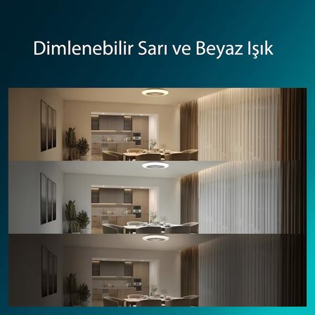 Philips Amigo Fanlı Tavan Lambası Değiştirilebilir Sarı ve Beyaz Işık 60+25 W