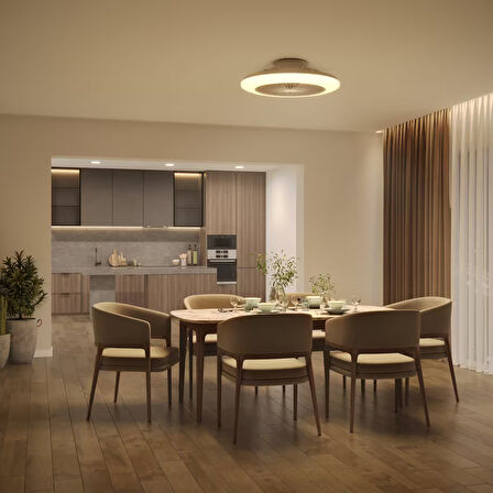 Philips Amigo Flat Fan Ceiling IR RD 25W+60W WH