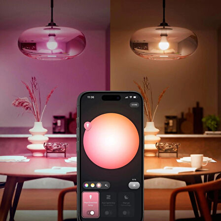 Philips Hue Essential 8W E27 806 Lumen Renkli Akıllı Ampul A60
