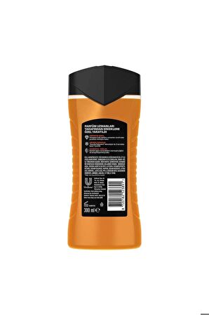 Axe Premium Collection Copper Santal 3 in 1 Duş Jeli 300 ml